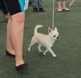 102.jpg (17.08 КБ, Просмотров: 7156) 102.jpg