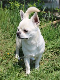 13879238_1046402768770211_4688860333617361747_n.jpg (118.09 КБ, Просмотров: 7156) 13879238_1046402768770211_4688860333617361747_n.jpg