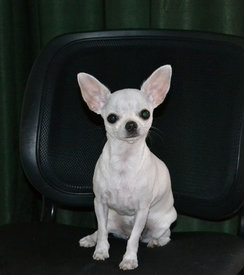 1.jpg (80.17 КБ, Просмотров: 7156) 1.jpg