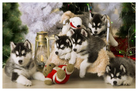 1HDgEzOZ (1).jpg (254.12 КБ, Просмотров: 10628) 1HDgEzOZ (1).jpg