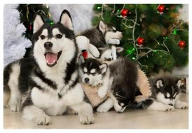 1HDgEzOz.jpg (43.85 КБ, Просмотров: 10078) 1HDgEzOz.jpg