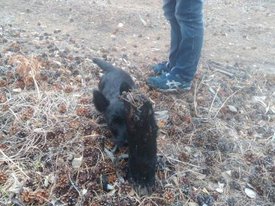 IMG_20170409_154208.jpg (50.34 КБ, Просмотров: 7180) IMG_20170409_154208.jpg