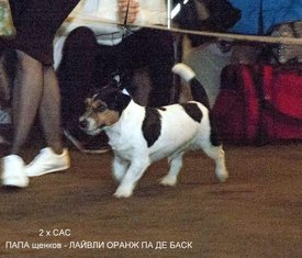 .1б баск.jpg (147.77 КБ, Просмотров: 1657) .1б баск.jpg