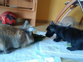 Даря.jpg (478.93 КБ, Просмотров: 7750) Даря.jpg