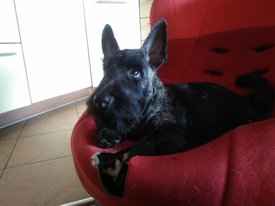 IMG_20170422_164801.jpg (307.36 КБ, Просмотров: 7760) IMG_20170422_164801.jpg