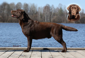 2654.jpg (402.1 КБ, Просмотров: 1810) 2654.jpg