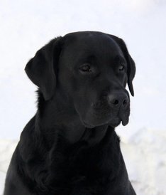 RI1gEJn4kQ-kZWed30hQs-3hIWUSobbA.jpg (34.68 КБ, Просмотров: 1762) RI1gEJn4kQ-kZWed30hQs-3hIWUSobbA.jpg