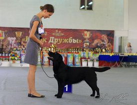 NuMpXzliIx-ndkT35eXRw-iIZSNlLqZ8.jpg (45.44 КБ, Просмотров: 1644) NuMpXzliIx-ndkT35eXRw-iIZSNlLqZ8.jpg