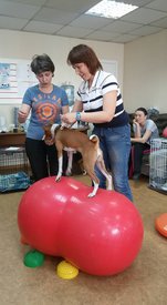 18157958_1308816412564320_6065060296524300376_n.jpg (61.06 КБ, Просмотров: 4262) 18157958_1308816412564320_6065060296524300376_n.jpg