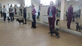 18118731_1307915182654443_6879314051859133304_n.jpg (51.47 КБ, Просмотров: 4258) 18118731_1307915182654443_6879314051859133304_n.jpg