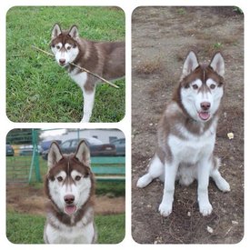 getImage (12).jpg (51.66 КБ, Просмотров: 10608) getImage (12).jpg