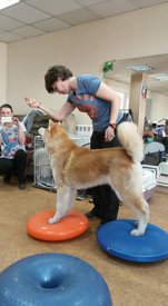 18193906_1308816522564309_7481896437786271761_n.jpg (56.44 КБ, Просмотров: 4257) 18193906_1308816522564309_7481896437786271761_n.jpg