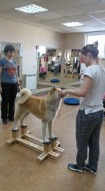 18118867_1308816695897625_1237761796496234840_n.jpg (60.5 КБ, Просмотров: 4257) 18118867_1308816695897625_1237761796496234840_n.jpg