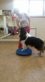 18194872_1308816645897630_8172906856483563952_n.jpg (50.44 КБ, Просмотров: 4257) 18194872_1308816645897630_8172906856483563952_n.jpg