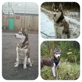 getImage (13).jpg (52.28 КБ, Просмотров: 10239) getImage (13).jpg