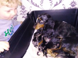 помёт 3 мира и влад.jpg (60.28 КБ, Просмотров: 1328) помёт 3 мира и влад.jpg