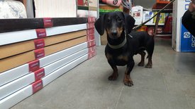 enVtu-qylJE.jpg (114.54 КБ, Просмотров: 1519) enVtu-qylJE.jpg