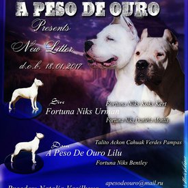 TRd_ObGFtwc.jpg (237.7 КБ, Просмотров: 1614) TRd_ObGFtwc.jpg