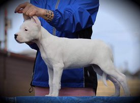 b6s7LzXOnYs.jpg (25.46 КБ, Просмотров: 1546) b6s7LzXOnYs.jpg