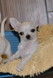 042.jpg (73.81 КБ, Просмотров: 7059) 042.jpg