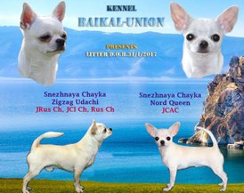 17757539_1443473479038357_1871199156085429488_n.jpg (122.78 КБ, Просмотров: 7059) 17757539_1443473479038357_1871199156085429488_n.jpg