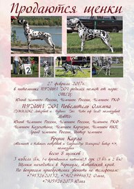 17269032_1475840372487944_1558529140_o.jpg (267.66 КБ, Просмотров: 1507) 17269032_1475840372487944_1558529140_o.jpg