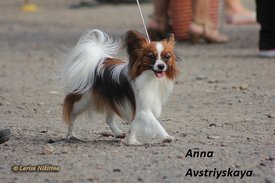 5.jpg (92.65 КБ, Просмотров: 1834) 5.jpg