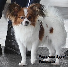 0_152a33_f4d5b845_L.jpg (32.92 КБ, Просмотров: 1829) 0_152a33_f4d5b845_L.jpg