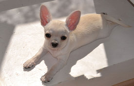 с2форум.jpg (68.29 КБ, Просмотров: 7007) с2форум.jpg