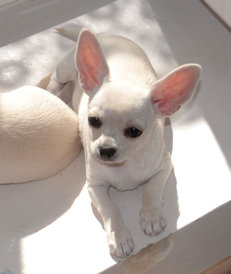 с1.jpg (65.25 КБ, Просмотров: 7007) с1.jpg