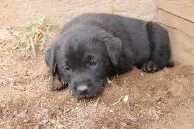 IMG_2658.jpg (273.89 КБ, Просмотров: 1483) IMG_2658.jpg