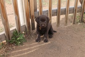 IMG_2641.jpg (318.27 КБ, Просмотров: 1483) IMG_2641.jpg