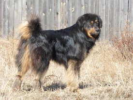 P1140512_1485x1114.jpg (415.48 КБ, Просмотров: 2012) P1140512_1485x1114.jpg