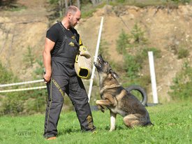 бори.jpg (99.67 КБ, Просмотров: 2925) бори.jpg