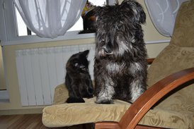 _DSC60381.jpg (213.72 КБ, Просмотров: 1457) _DSC60381.jpg