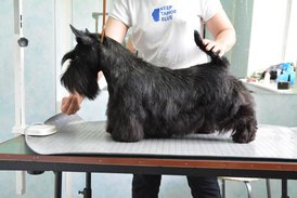 Уменьшено для форума.jpg (86.35 КБ, Просмотров: 2394) Уменьшено для форума.jpg