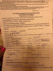 BVZgAziP_Rg.jpg (181.76 КБ, Просмотров: 6368) BVZgAziP_Rg.jpg