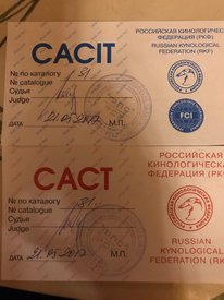 hYSuLPqQTQc.jpg (131.45 КБ, Просмотров: 6705) hYSuLPqQTQc.jpg