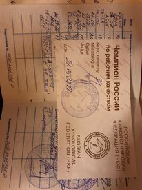 L2sDsGAHonQ.jpg (159.57 КБ, Просмотров: 6718) L2sDsGAHonQ.jpg