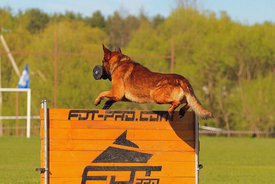 Qwog1_pux7k.jpg (134.82 КБ, Просмотров: 6389) Qwog1_pux7k.jpg