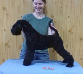 пифа.jpg (72.8 КБ, Просмотров: 1730) пифа.jpg