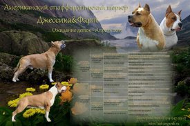 Джесс и Фарт.jpg (127.66 КБ, Просмотров: 2056) Джесс и Фарт.jpg