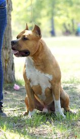 i1192.jpg (20.05 КБ, Просмотров: 1616) i1192.jpg