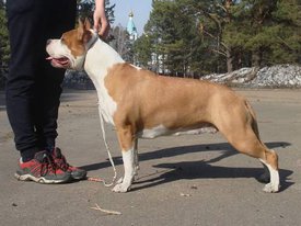 i1086.jpg (31.18 КБ, Просмотров: 1614) i1086.jpg