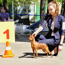 P3MPUSoH-xc.jpg (142.72 КБ, Просмотров: 13260) P3MPUSoH-xc.jpg