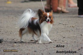 555.jpg (122.91 КБ, Просмотров: 1499) 555.jpg