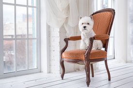 7585_2048_1.jpg (117.25 КБ, Просмотров: 1753) 7585_2048_1.jpg