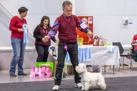 am__2626.jpg (149.04 КБ, Просмотров: 1753) am__2626.jpg