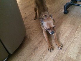 image.jpg (171.53 КБ, Просмотров: 1562) image.jpg