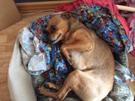 image (1).jpg (174.54 КБ, Просмотров: 1478) image (1).jpg